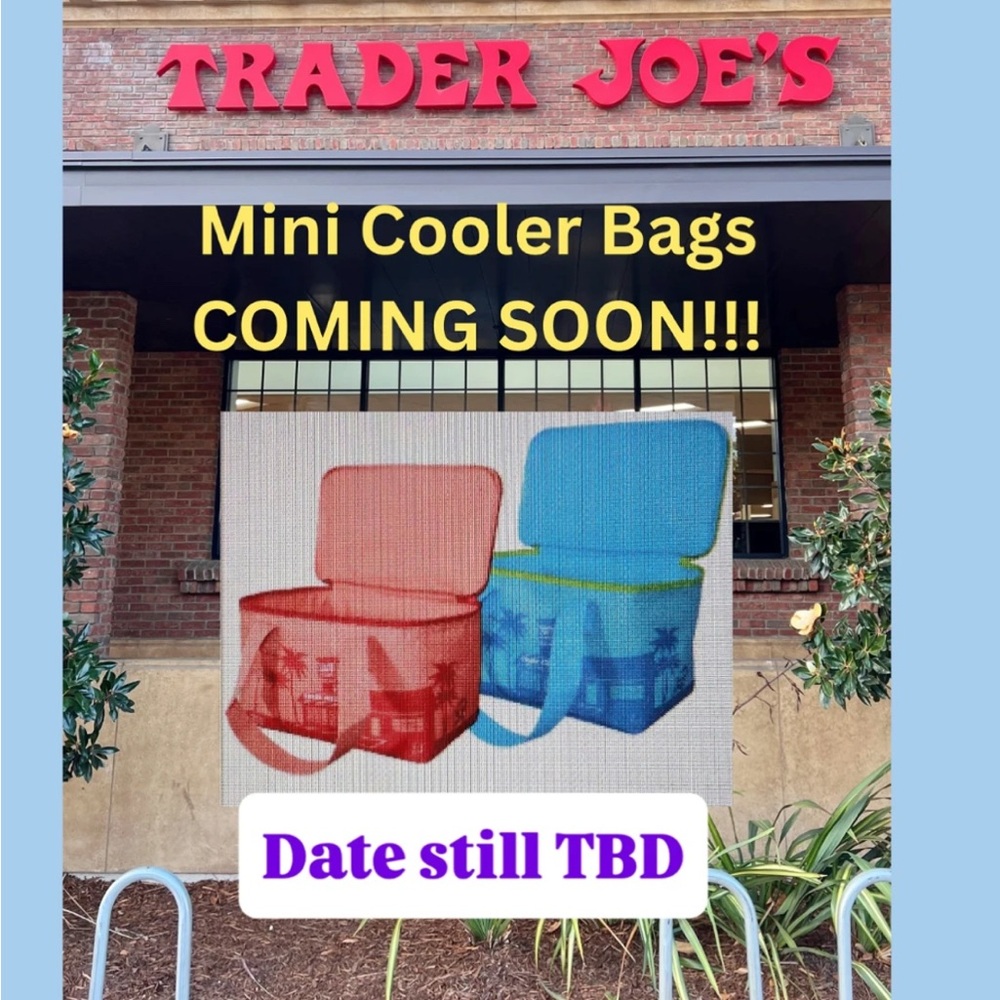 Red and Blue Mini Cooler Bags